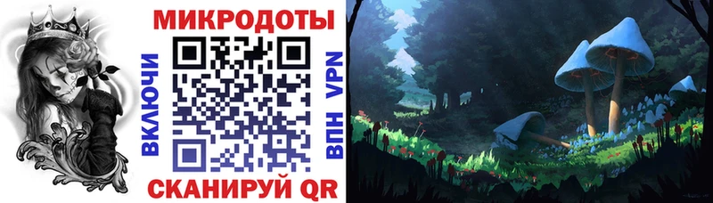 Галлюциногенные грибы прущие грибы  Устюжна 
